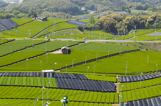 配、農(nóng)網(wǎng)解決方案